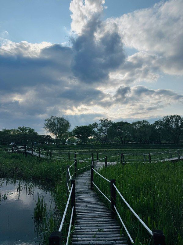 A wooden boardwalk crossing a marsh under heavy summer clouds