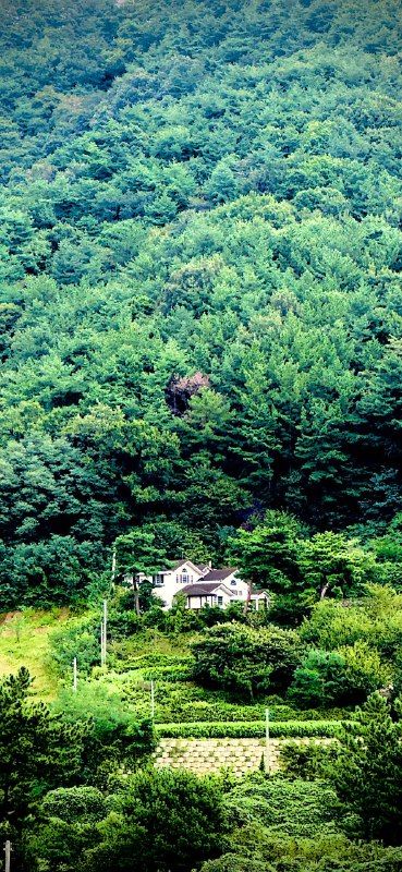 Steep forested hills around a small white farmhouse