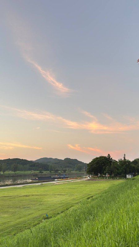 A green levee and river field under soft streaked clouds
