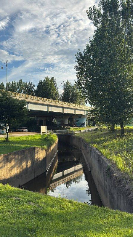 A canal path running under a bridge beside tall trees