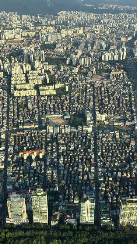 Dense rows of apartment towers seen straight down from a tower