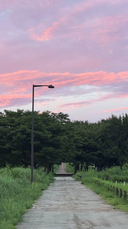 A narrow concrete path into trees under pink evening clouds