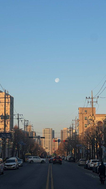 A long suburban street of apartment towers under a pale sky with a small moon