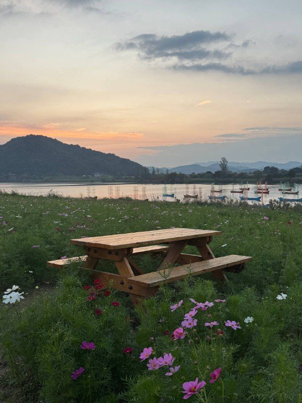 Picnic tables in a wildflower meadow by a lake at dusk