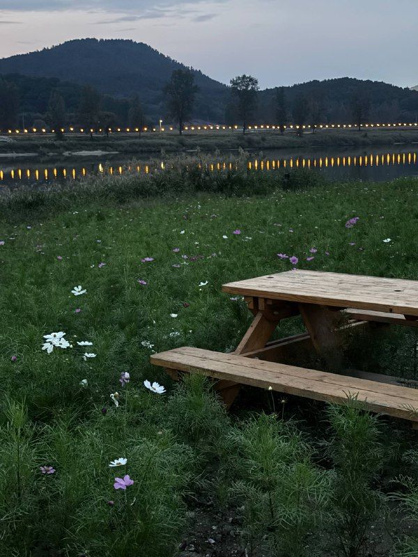 A wooden picnic table among cosmos flowers below a hill at dusk