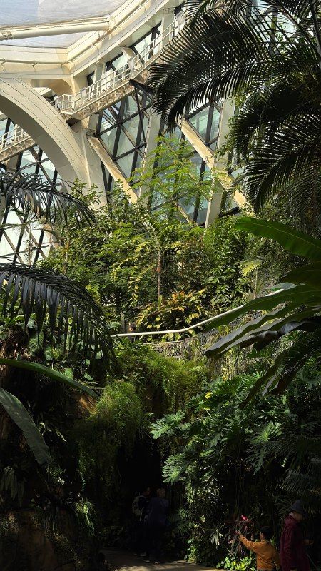 Palms and tropical plants under a curved glass roof