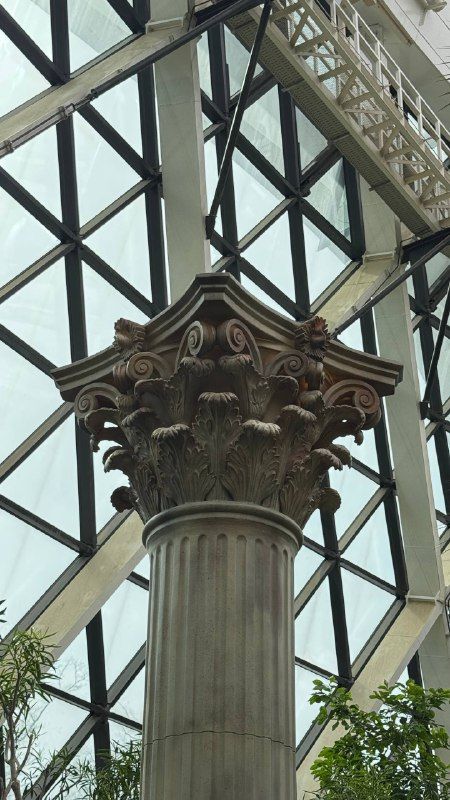 A stone Corinthian column against a glass lattice roof